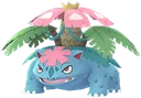 raidmegavenusaur raidmegavenusaur