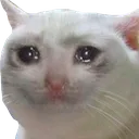 Sad Cat sad_cat Discord Emoji