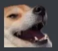 Doggolaugh doggolaugh Discord Emoji