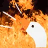 honkfire honkfire