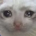 sadcat sadcat