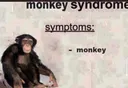 monke