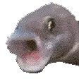 Fishpog fishpog Discord Emoji
