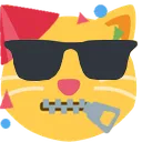 catneutralzipperpartysunglasses