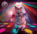 dance_disco_cat Discord emoji
