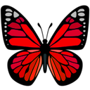 ac_red_butterfly Discord emoji