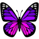 ac_purple_butterfly Discord emoji