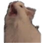 aaa_XP Discord emoji