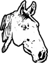 rdhorse