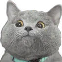 catlook