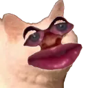ECH_FACE