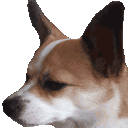 w_thefuckmillie