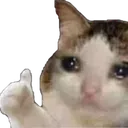 catto