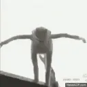 kjermit kjermit