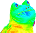epic_frog Discord Emoji