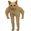 catlonglegrun