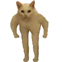 catlonglegrun