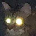 xDemon