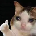 aSadCatThumbsUp Discord Emoji