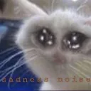 AnotherSadCat AnotherSadCat