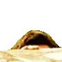 10_Lurking