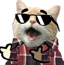 yyag yyag