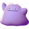 dittonew