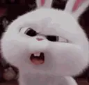 wtf