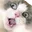 TaigaSurprised