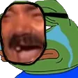 KEKsociety