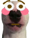 flushedwalter