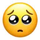 Pleading