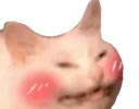 craig