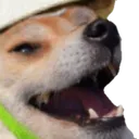 grassdoge2