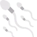 Sperm Sperm