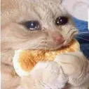pancakecry