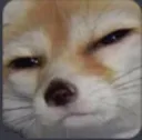foxhmm