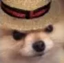 uwudog