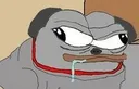 huskydoge
