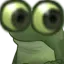 FrogeBigEyes Discord Emoji