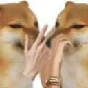 fofoca fofoca