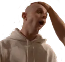BaldFitz BaldFitz