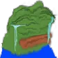 Pepo1