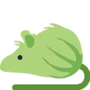 rat_melon