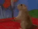dramatic_hamster dramatic_hamster