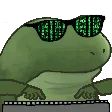 FrogeHacker Discord Emoji