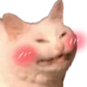 ghost_catto