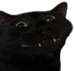 ch_sup Discord emoji