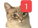 ch_ping