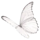 3butterfly